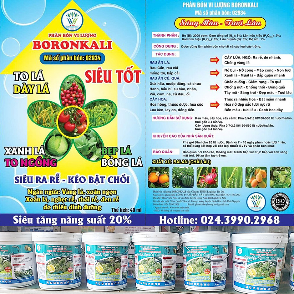 BORONKALI